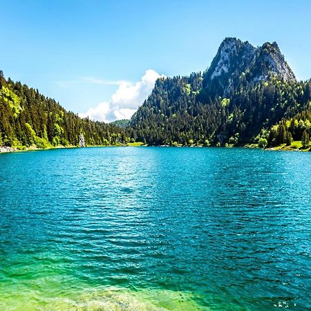 Un Moment De Detente Inoubliable Saillon-Les-Bain Exterior photo