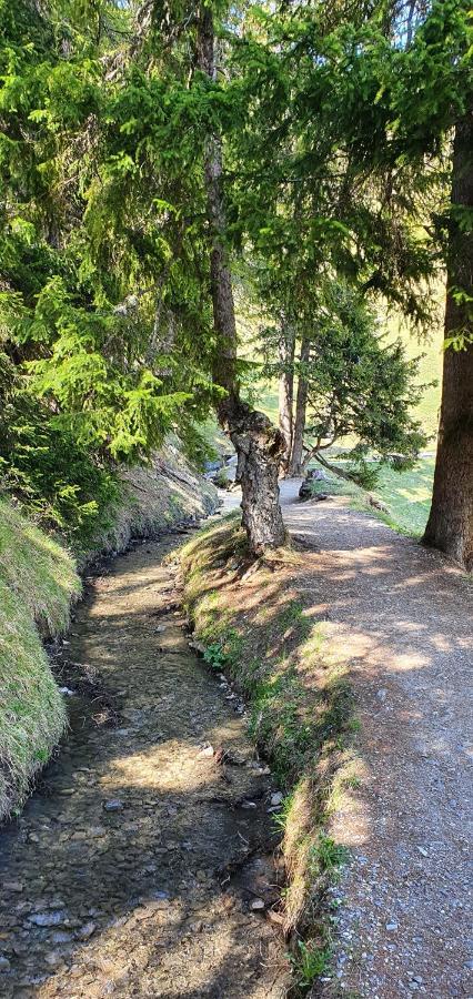Un Moment De Detente Inoubliable Saillon-Les-Bain Exterior photo
