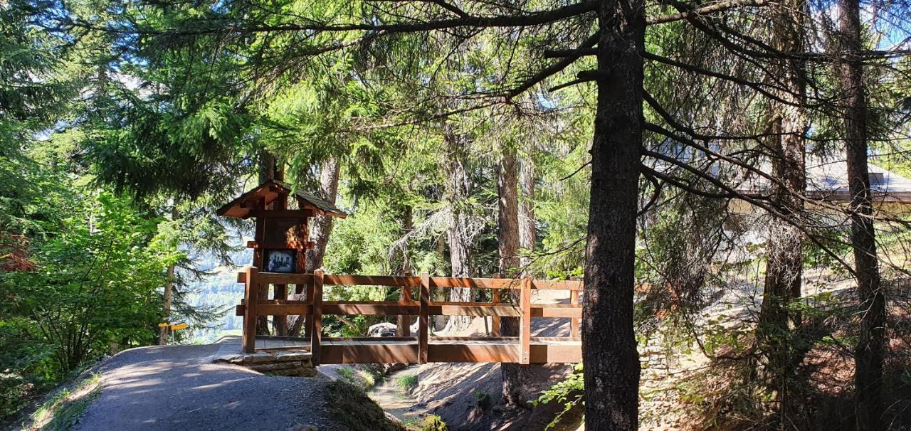 Un Moment De Detente Inoubliable Saillon-Les-Bain Exterior photo